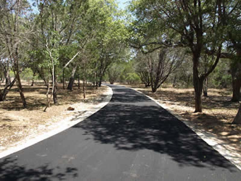 Finished asphalt road through a wooded lot
